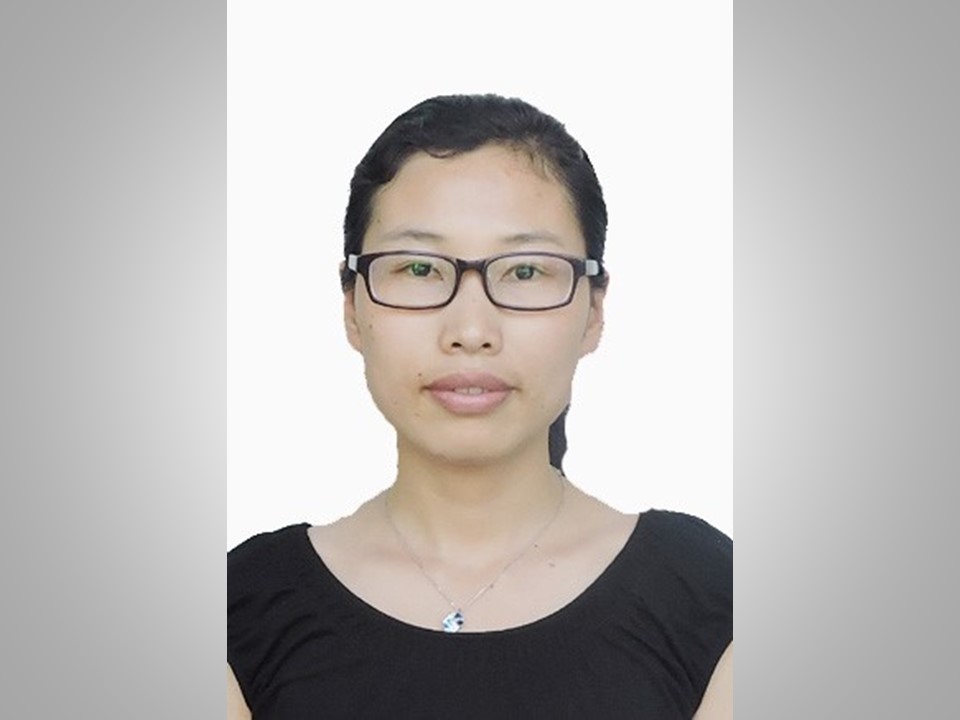 Dr. Huizhuan Yan